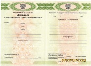 Диплом лицея с 2010