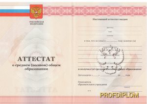 Аттестат 11 класс 2010-2013