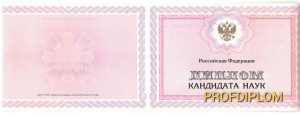 Диплом кандидат наук 2010